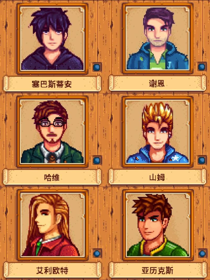 星露谷衬衫mod，星露谷服装mod怎么装